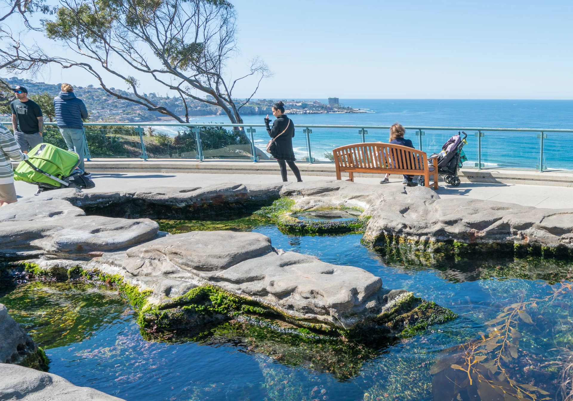 Tide Pool Plaza at Birch Aquarium