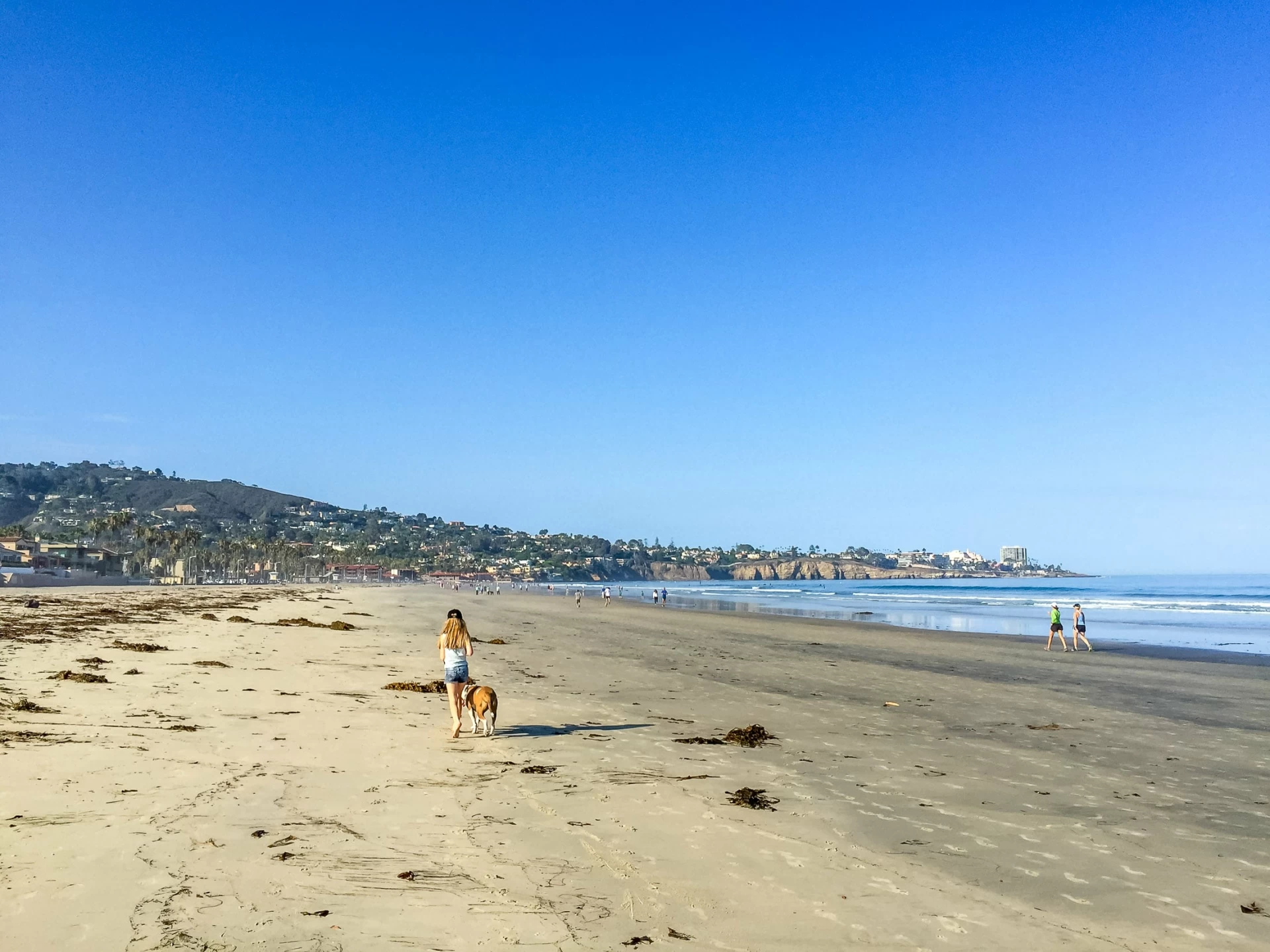 My daughter walks our dog on La Jolla Shores Beach in the morning on a sunny day.