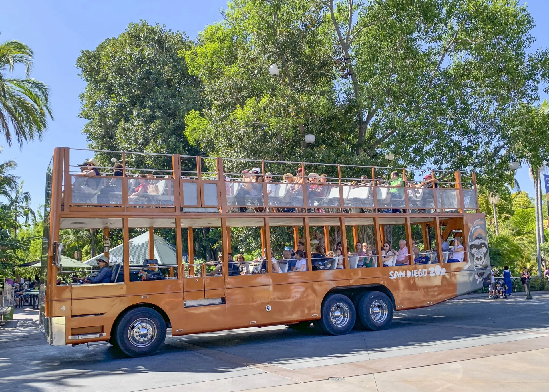 Guests ride the San Diego Zoo guided bus tour through the park.